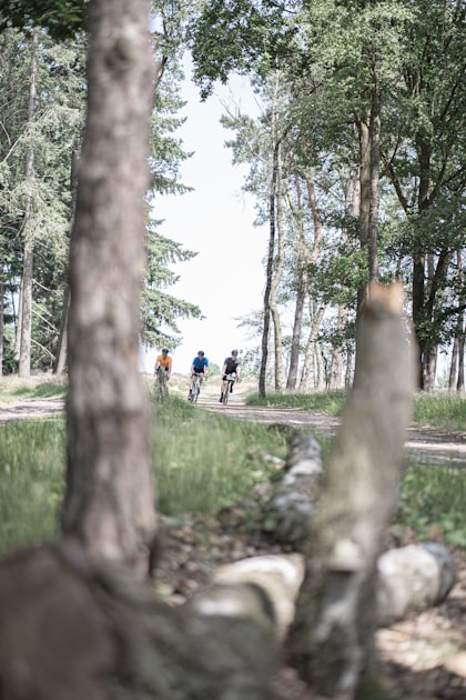 Exploring the Wilderness on Two Wheels